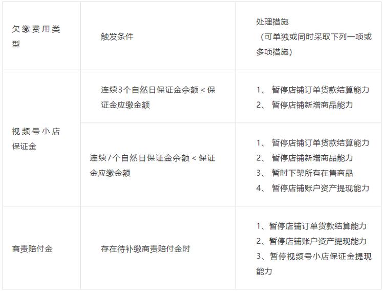 保证金明细表视频号小店(个体工商户保证金企业明细表视频)