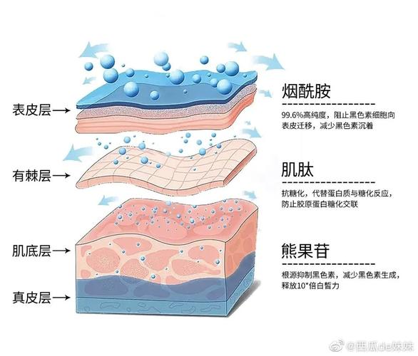 功效深度原理(功效原理深度模式肌肤)