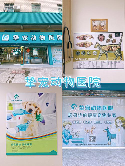 区域北京分区医院内宠物(动物废弃物草案实施办法机构)