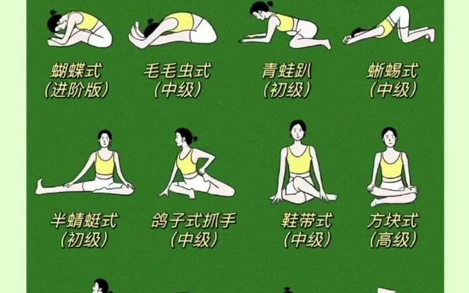 体式经络瑜伽好脸色全身(瑜伽体式经络抱枕好脸色)