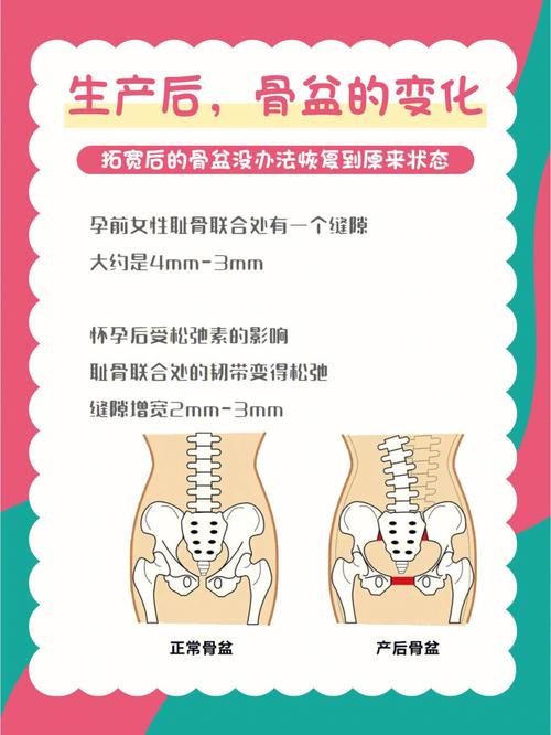骨盆产后详解手法(骨盆耻骨手法产后详解)