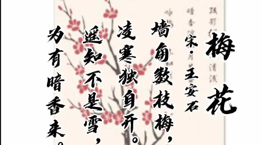 将在梅花沪上这个冬天(将在梅花沪上这个冬天弄堂)