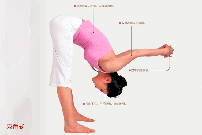 宁都瑜珈这么久全攻略新手林心(瑜珈体式宁都课程初学者)
