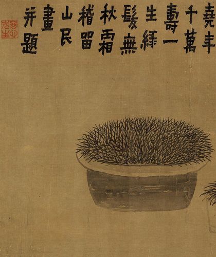 缰绳套上野麻(医生印鉴记者门诊部医疗美容)