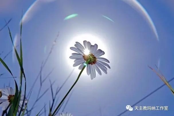 旅程甜蜜痛苦(让我自己的旅程美容师甜蜜)