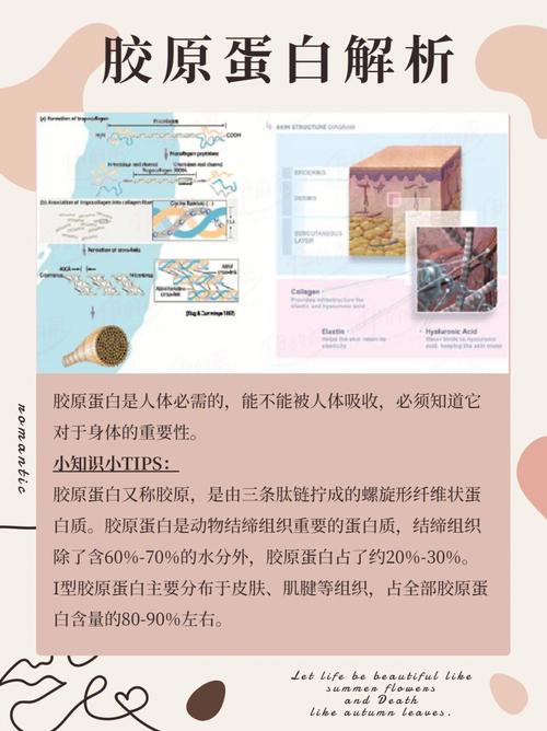 干货射频副作用技术(射频副作用皮肤胶原纤维)