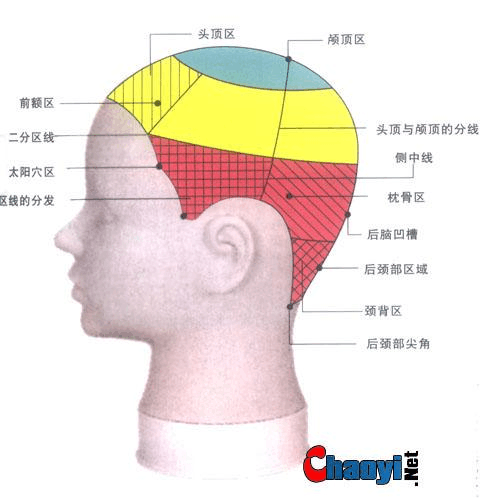 必修课头部分区区域名称(必修课分区头部区域名称)