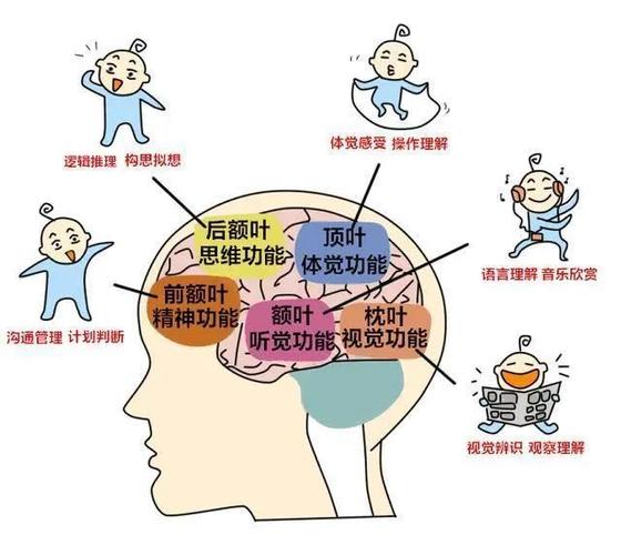别再骗局当心智商生命(骗局别再当心智商生命)