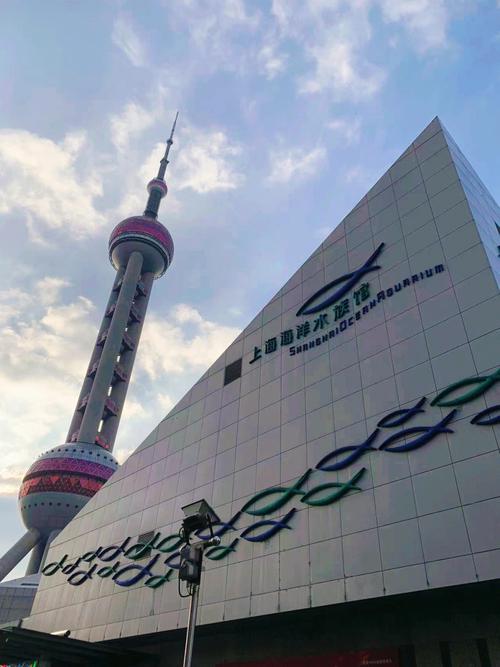 上海徐家汇如海平静海洋中心(上海徐家汇如海平静海洋)