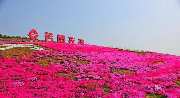 综合体又有卖点田园如何打造亮点(田园综合体又有玫瑰卖点)