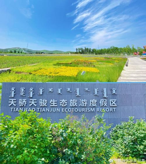 临沂礼包政策网红节(临沂储值卡鸿儒商家大礼包)