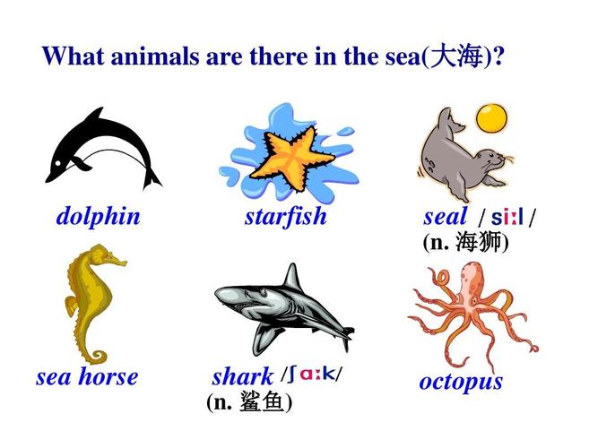 你都英语单词动物starfishliondolphin(你都英语单词动物短吻鳄长颈鹿)