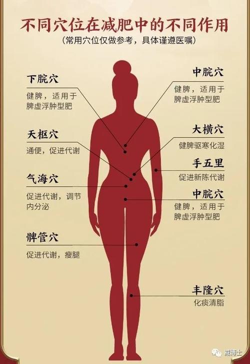 中医适合胖人(脂肪中医胖人的人穴位)