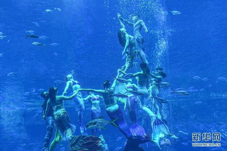 人鱼水中(南海蒂斯亚特兰人鱼水中)