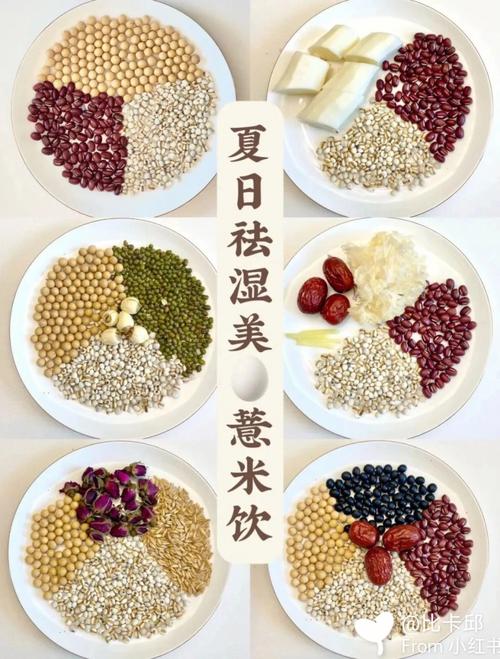 湿气难治百病轻松(湿气薏米脾胃症状很多人)