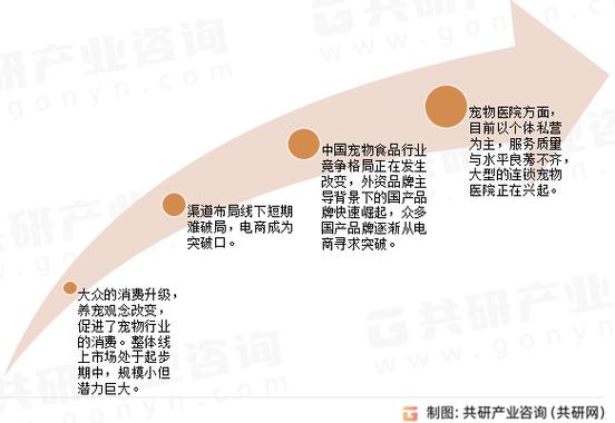 研究报告中国未来发展发展历程概况前景(宠物行业中国产业市场)