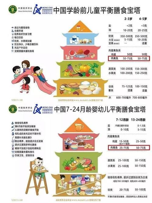 初心孩子们膳食搭起幼儿园健康(初心膳食孩子们幼儿园搭起)