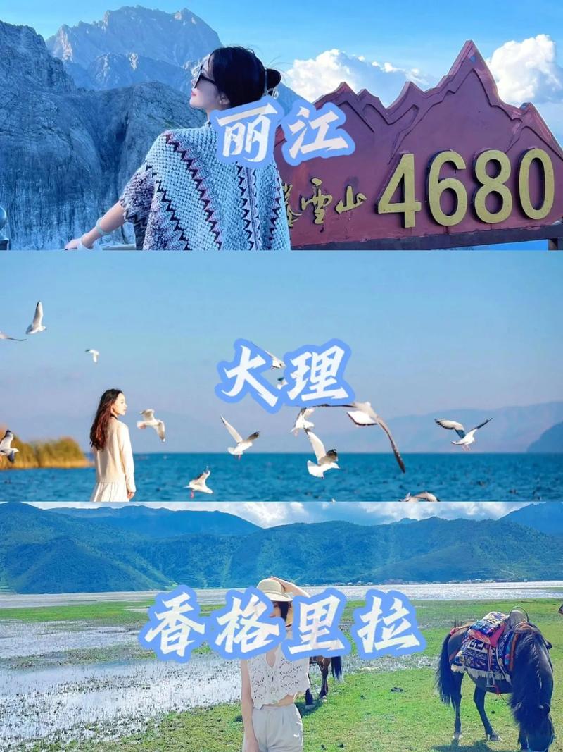 要做云南之城代言人实业国际(云南之城丽江实业国际)