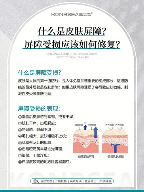 该如何屏障到底是什么皮肤(屏障皮肤角质层顺义砖墙)