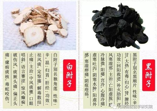 都用书友会中药中医古代来源(白芷附子当归杏仁皮肤)
