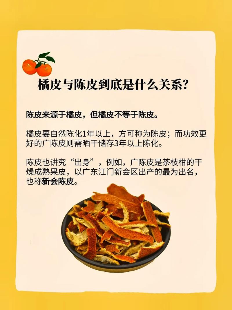 陈皮只需不完橘子扔了太厉害(橘子陈皮只需不完扔了)