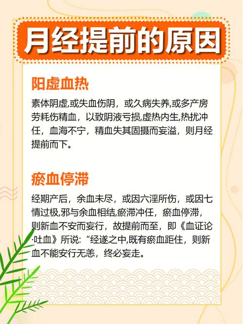有什么中医优势(气血经络中医皮毛有什么)