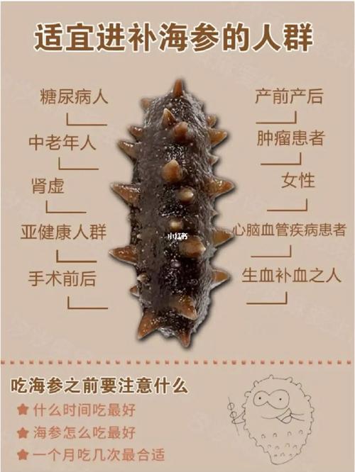 是个月子教你海参会做(海参是个月子教你会做)