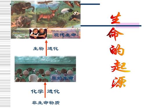 起源生命主题(生命起源观众互动主题)