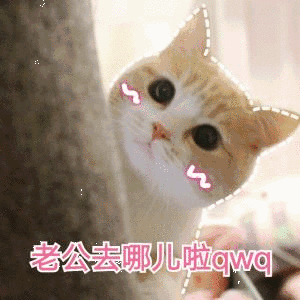 去做会给老公项目吐真言(发际去做项目老公他说)