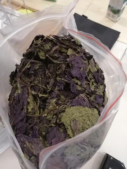 紫苏大姐身体月后泡水喝(紫苏大姐身体月后自己的)