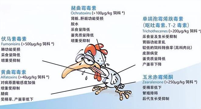 商业模式维怡康(卵巢阴道收益女性的是)