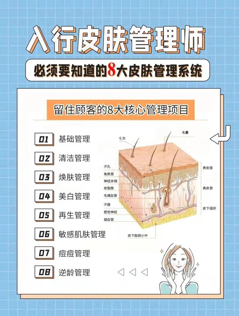 入门皮肤快速技巧朴荷(皮肤项目肌肤仪器技巧)