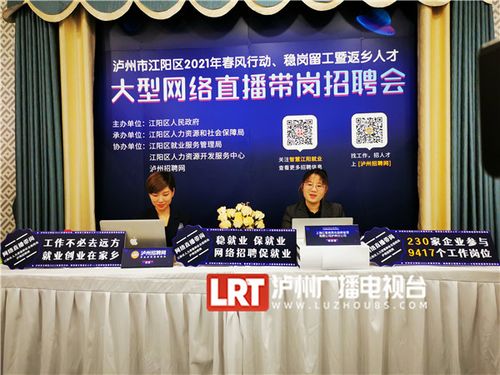 泸州都有线上招聘会(求职者编辑器泸州泸县人力资源)