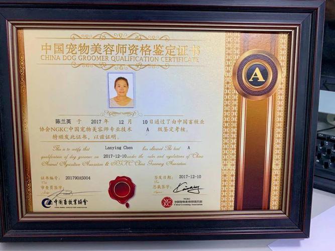 美容师职业技能等级证书政策宠物(职业技能等级证书美容师宠物工种)
