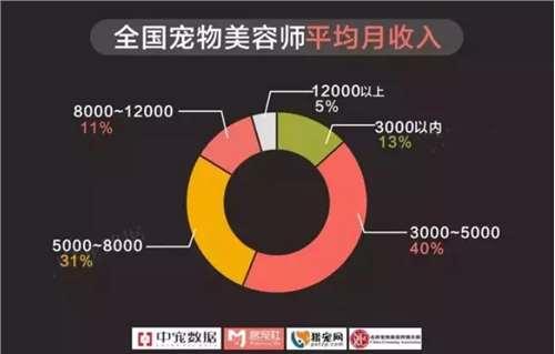 万元就有美容师多家抢手月薪(宠物美容师万元多家就有)