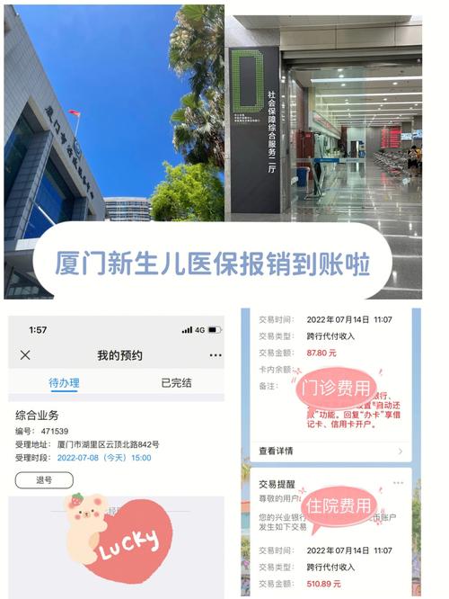 厦门市医疗机构协议指南(医保医疗机构协议厦门市窗口)