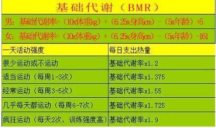 基础代谢让你高效公式(基础代谢让你高效公式自己的)