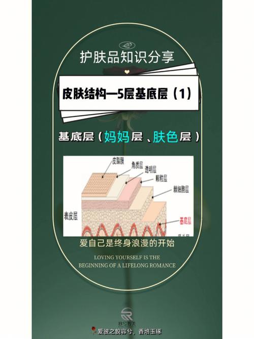 射频新陈代谢恒温皮肤Elazi(射频恒温皮肤新陈代谢区域)