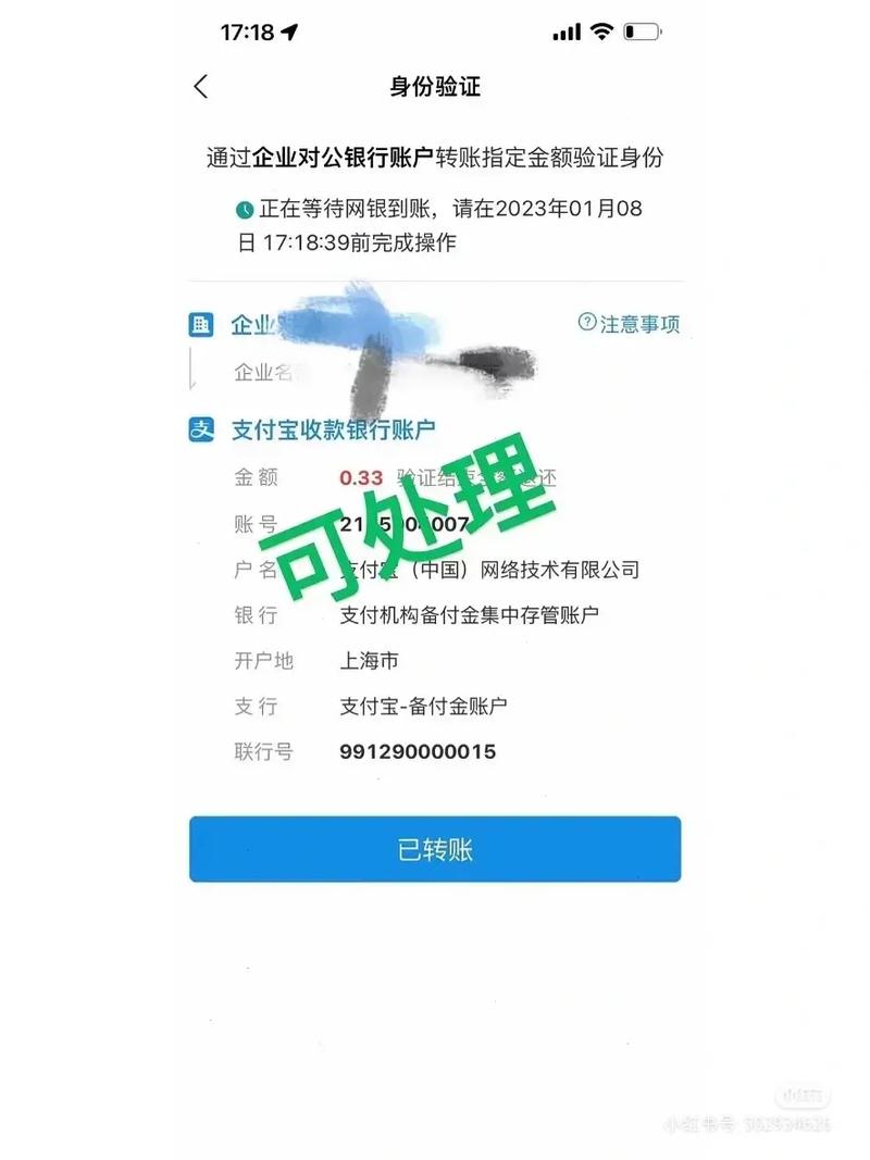 支付宝野心程序电商(支付宝程序攀枝花野心互联网)