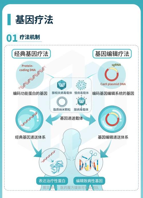 基因治疗细胞(基因治疗细胞药物疗法企业)