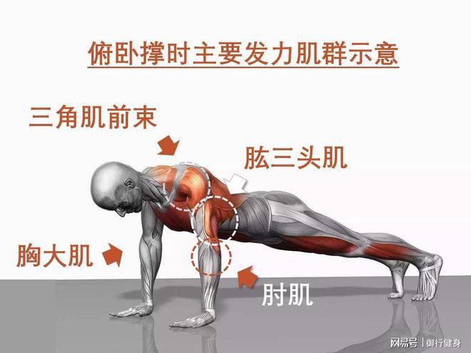 腹肌一个月标配动作方法(腹肌一个月动作胸肌俯卧撑)