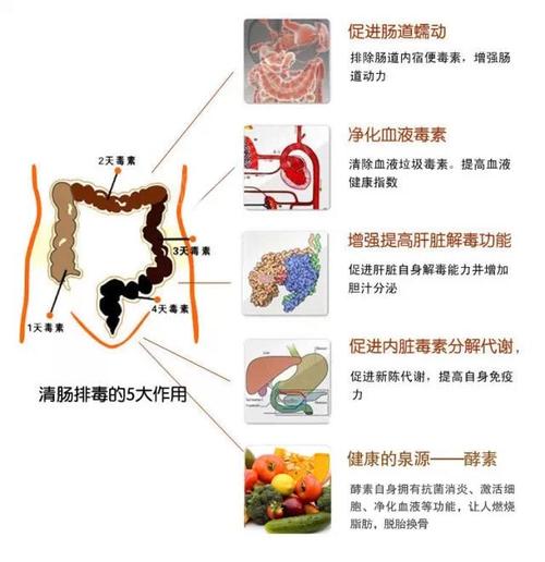 灌肠千万不要性命排毒(灌肠排毒美容院王女士千万不要)
