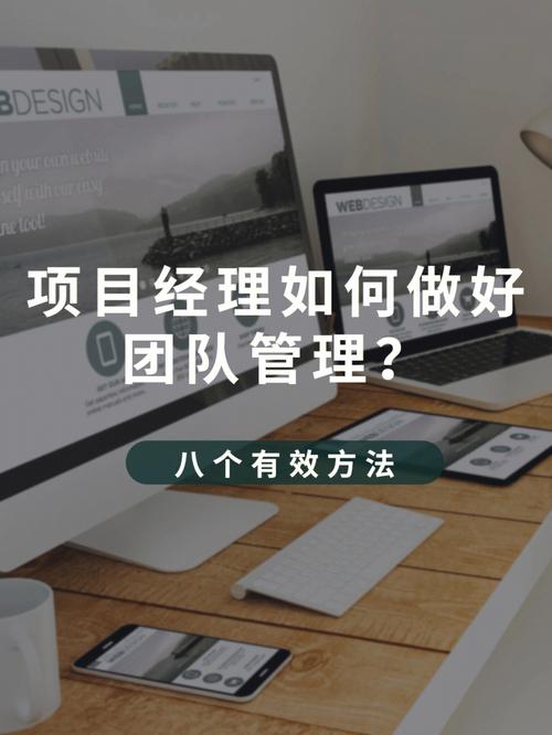 干货项目经理(项目经理项目管理在这个项目团队)