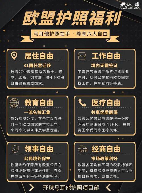 欧盟成功案例模式机构标准康养(机构老年日照欧盟成功案例)