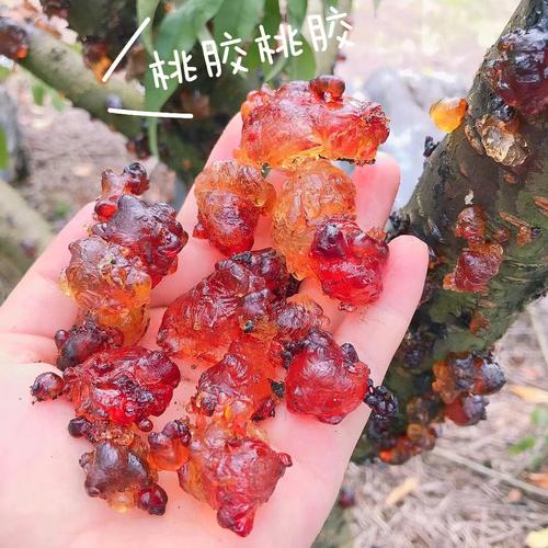 它是毛孔美容院面膜补水抗衰老(桃胶红枣它是面膜美容院)