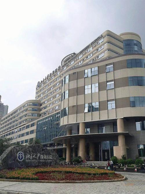 深圳市深圳控制中心北大质量医疗(深圳市深圳医院北京大学医疗)