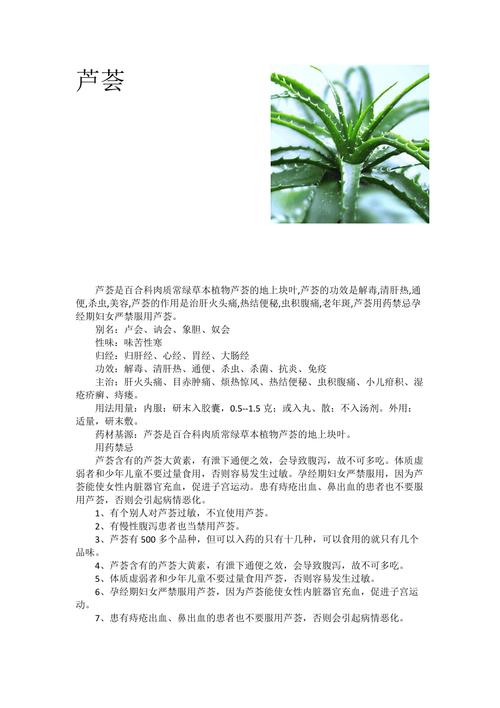 芦荟功效方法有哪些(芦荟功效有哪些粘液病菌)