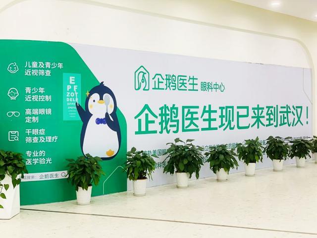 海南企鹅业态医生健康(海南健康企鹅医生生态)