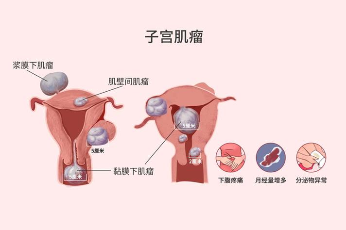 你知道生殖器意义女性(生殖器女性你知道性生活医生)