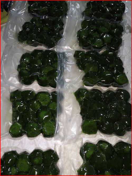 萍乡一到艾米春天(萍乡粑粑艾米一到春天)